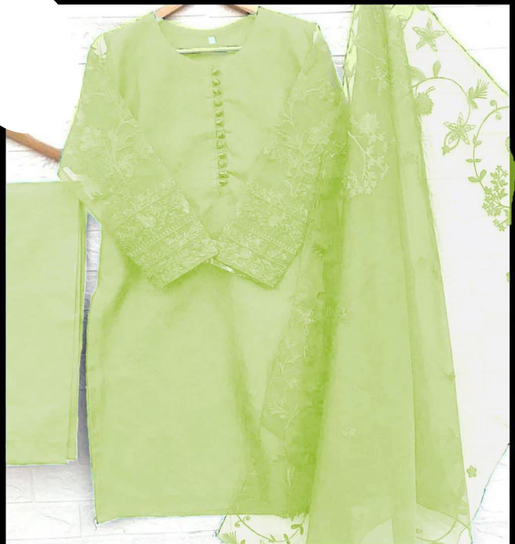 embroidered organza stitched suit