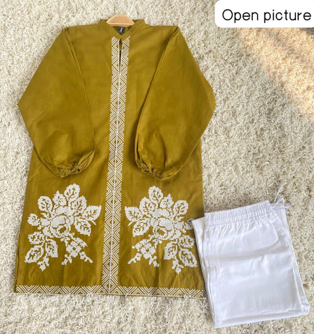 Medium & Large Cotton 2 Piece – New Embroidery Stitched Ladies Eid Suit