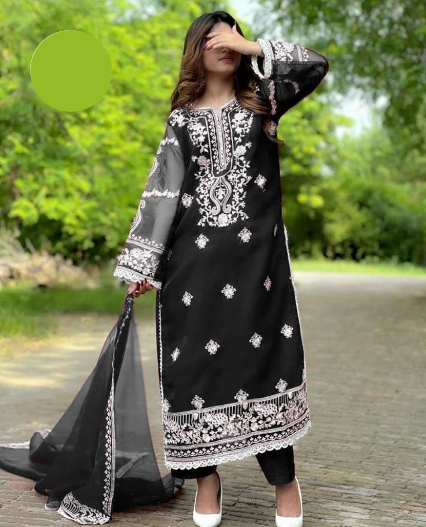 Medium Embroidered Organza 3 Piece – Front & Back Border Shirt with Two-Sided Dupatta
