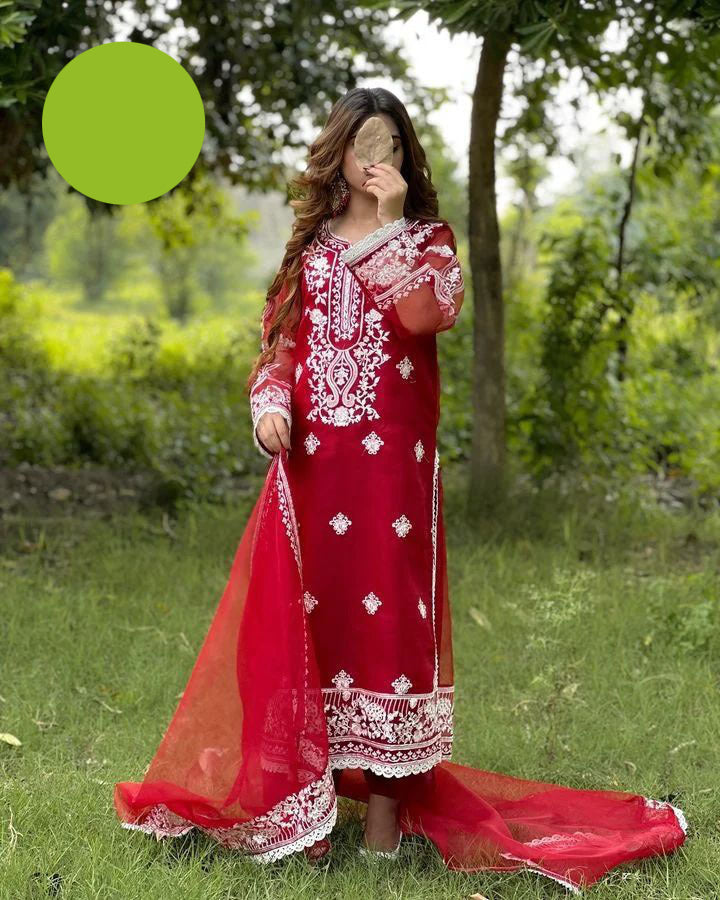 Medium Embroidered Organza 3 Piece – Front & Back Border Shirt with Two-Sided Dupatta