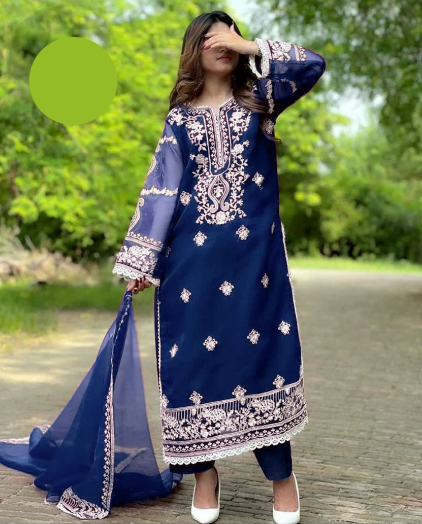 Medium Embroidered Organza 3 Piece – Front & Back Border Shirt with Two-Sided Dupatta