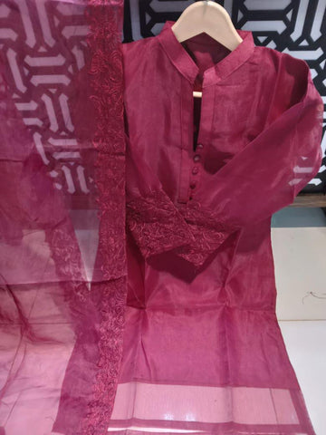 Standard Organza 3 Piece – Sleeves & 4 Side Border Embroidered Dupatta