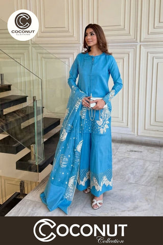 Heavy Sequence Embroidered Sleeves and Borders Small Raw Silk Suit