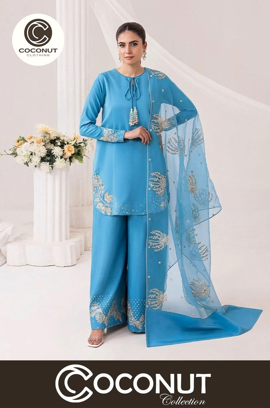 Heavy Sequence Embroidered Sleeves and Borders Small Raw Silk Suit