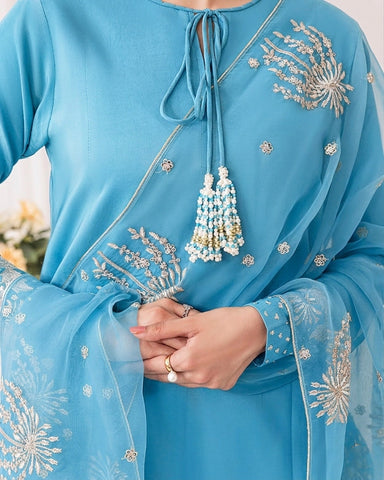 Heavy Sequence Embroidered Sleeves and Borders Small Raw Silk Suit